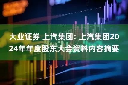 大业证券 上汽集团: 上汽集团2024年年度股东大会资料内容摘要