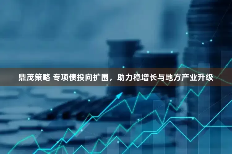 鼎茂策略 专项债投向扩围，助力稳增长与地方产业升级