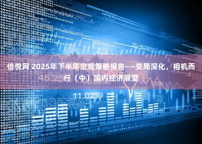 倍悦网 2025年下半年宏观策略报告——变局深化，相机而行（中）国内经济展望