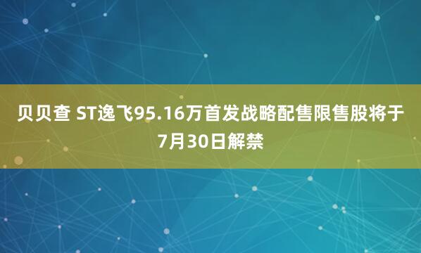 贝贝查 ST逸飞95.16万首发战略配售限售股将于7月30日解禁
