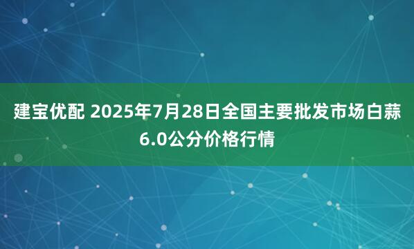 建宝优配 2025年7月28日全国主要批发市场白蒜6.0公分价格行情