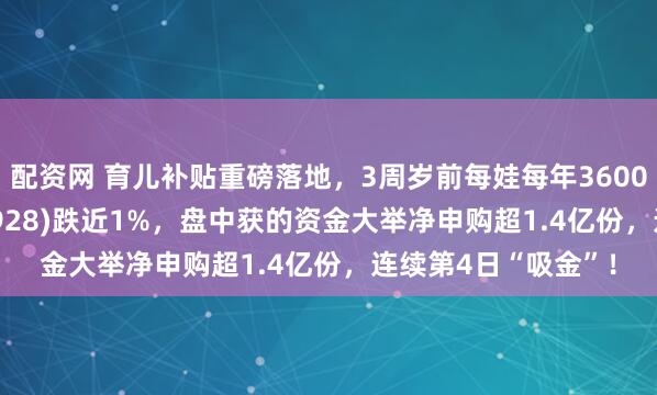 配资网 育儿补贴重磅落地，3周岁前每娃每年3600元！消费ETF(159928)跌近1%，盘中获的资金大举净申购超1.4亿份，连续第4日“吸金”！