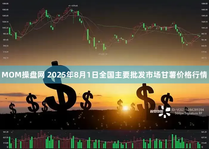 MOM操盘网 2025年8月1日全国主要批发市场甘薯价格行情