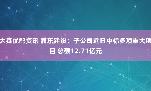 大鑫优配资讯 浦东建设：子公司近日中标多项重大项目 总额12.71亿元